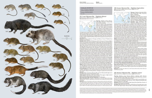 Handbook of the Mammals of the World no 7 - Rodents II -  Lynx 2017